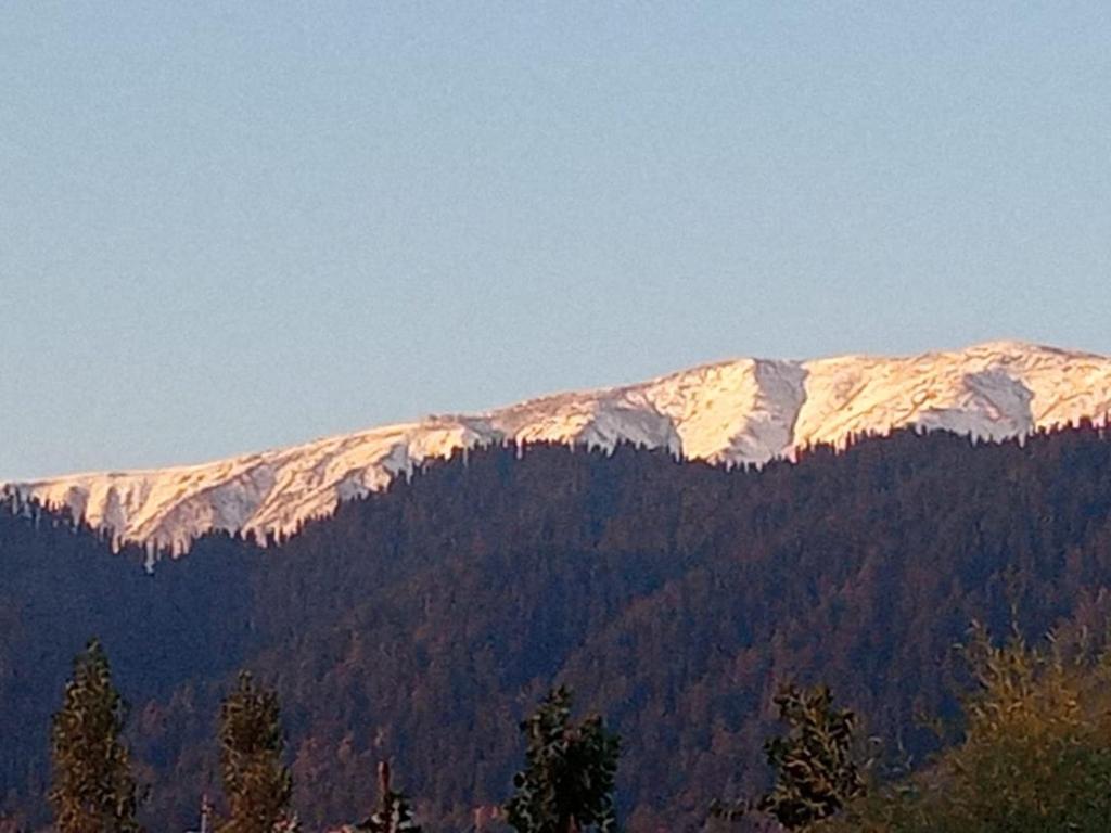 Gulmarg View Cottage