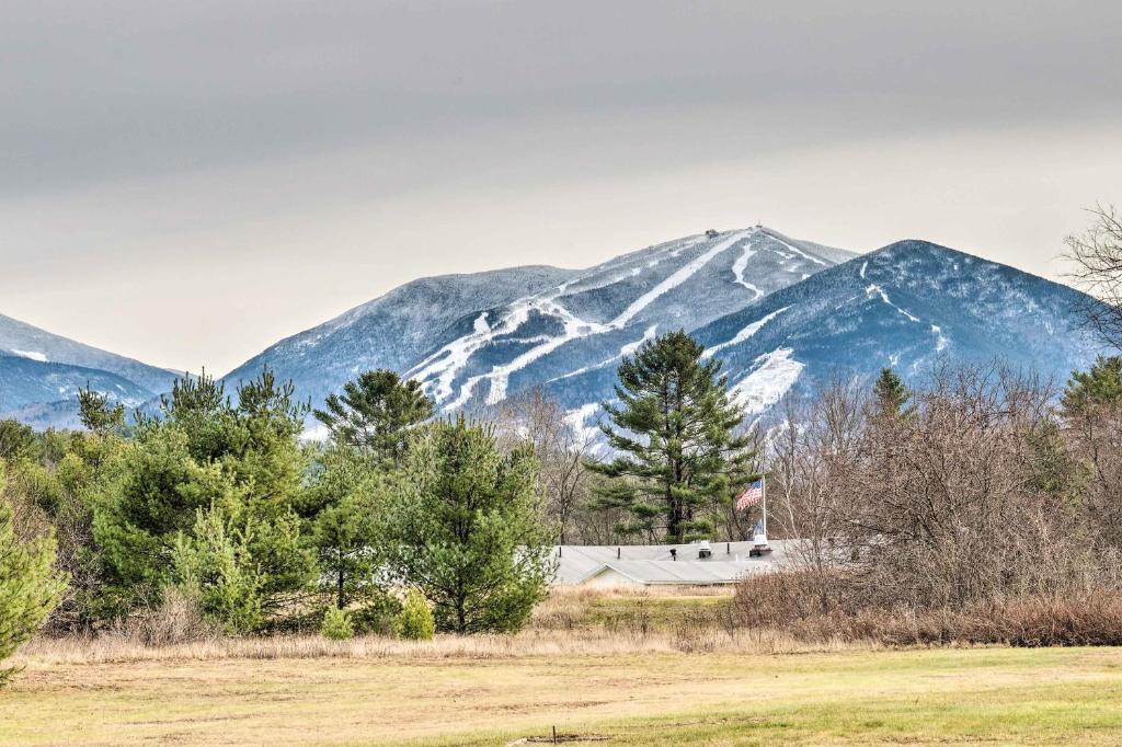 Cozy Franconia Cottage with Community Pool and Hot Tub