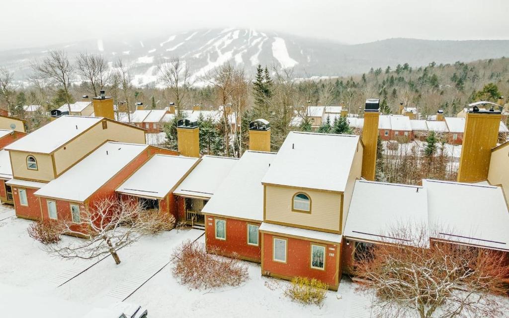 Mountain Magic- Cozy Condo near Mt, Snow home