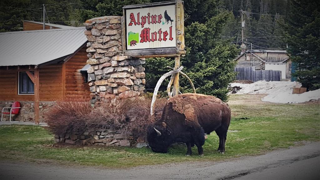 Alpine Motel of Cooke City